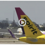 CAIR-MI Welcomes Hate Crime Charge Against Woman Who Assaulted Muslim Woman on Spirit Airlines